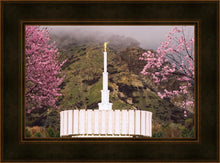 Load image into Gallery viewer, Provo Oncoming Storm