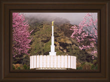 Load image into Gallery viewer, Provo Oncoming Storm