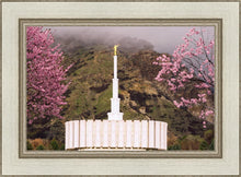 Load image into Gallery viewer, Provo Oncoming Storm