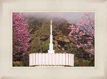 Load image into Gallery viewer, Provo Oncoming Storm