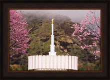 Load image into Gallery viewer, Provo Oncoming Storm