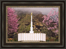 Load image into Gallery viewer, Provo Oncoming Storm