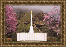 Load image into Gallery viewer, Provo Oncoming Storm