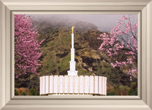 Load image into Gallery viewer, Provo Oncoming Storm