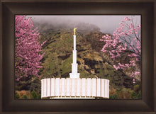 Load image into Gallery viewer, Provo Oncoming Storm