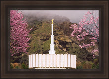 Load image into Gallery viewer, Provo Oncoming Storm