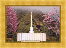 Load image into Gallery viewer, Provo Oncoming Storm