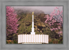 Load image into Gallery viewer, Provo Oncoming Storm