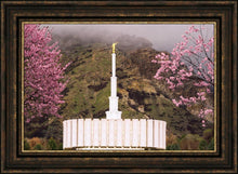 Load image into Gallery viewer, Provo Oncoming Storm