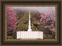 Load image into Gallery viewer, Provo Oncoming Storm