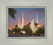 Load image into Gallery viewer, Las Vegas House of the Lord
