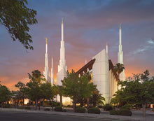 Load image into Gallery viewer, Las Vegas House of the Lord