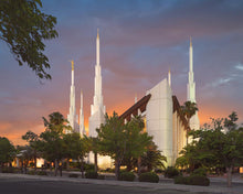 Load image into Gallery viewer, Las Vegas House of the Lord