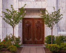 Load image into Gallery viewer, Portland Doors