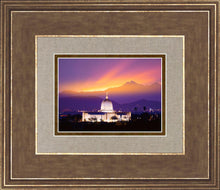 Load image into Gallery viewer, Tucson Sunglow