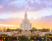 Load image into Gallery viewer, Oquirrh Mountain Peaceful Spring