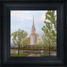 Load image into Gallery viewer, Oquirrh Mountain Rainfall