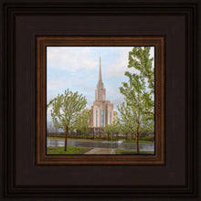 Load image into Gallery viewer, Oquirrh Mountain Rainfall