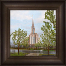Load image into Gallery viewer, Oquirrh Mountain Rainfall