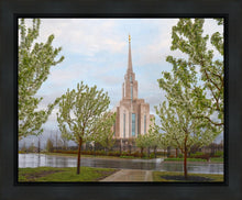 Load image into Gallery viewer, Oquirrh Mountain Rainfall