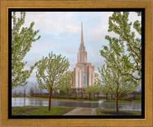 Load image into Gallery viewer, Oquirrh Mountain Rainfall