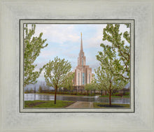 Load image into Gallery viewer, Oquirrh Mountain Rainfall