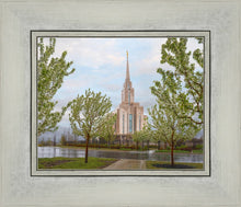 Load image into Gallery viewer, Oquirrh Mountain Rainfall