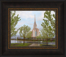 Load image into Gallery viewer, Oquirrh Mountain Rainfall