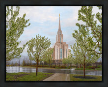 Load image into Gallery viewer, Oquirrh Mountain Rainfall
