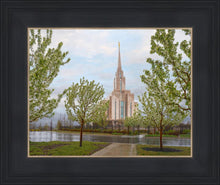 Load image into Gallery viewer, Oquirrh Mountain Rainfall