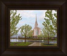 Load image into Gallery viewer, Oquirrh Mountain Rainfall
