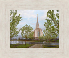 Load image into Gallery viewer, Oquirrh Mountain Rainfall