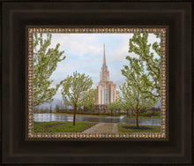 Load image into Gallery viewer, Oquirrh Mountain Rainfall