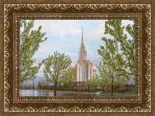 Load image into Gallery viewer, Oquirrh Mountain Rainfall