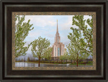 Load image into Gallery viewer, Oquirrh Mountain Rainfall