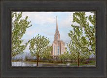 Load image into Gallery viewer, Oquirrh Mountain Rainfall