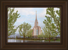 Load image into Gallery viewer, Oquirrh Mountain Rainfall