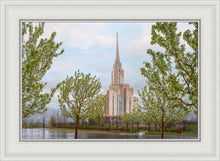 Load image into Gallery viewer, Oquirrh Mountain Rainfall