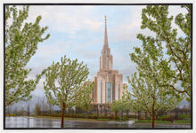 Load image into Gallery viewer, Oquirrh Mountain Rainfall