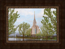 Load image into Gallery viewer, Oquirrh Mountain Rainfall