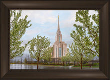 Load image into Gallery viewer, Oquirrh Mountain Rainfall