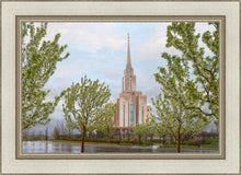 Load image into Gallery viewer, Oquirrh Mountain Rainfall