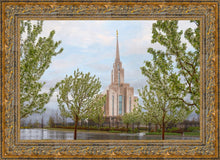 Load image into Gallery viewer, Oquirrh Mountain Rainfall