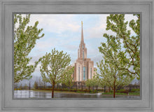 Load image into Gallery viewer, Oquirrh Mountain Rainfall