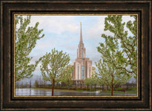 Load image into Gallery viewer, Oquirrh Mountain Rainfall