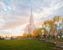 Load image into Gallery viewer, Oquirrh Mountain Hillside