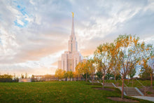 Load image into Gallery viewer, Oquirrh Mountain Hillside