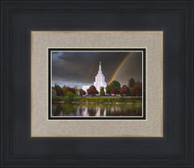 Load image into Gallery viewer, Idaho Falls Rainbow