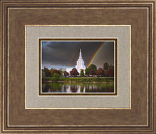 Load image into Gallery viewer, Idaho Falls Rainbow