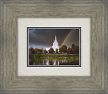Load image into Gallery viewer, Idaho Falls Rainbow